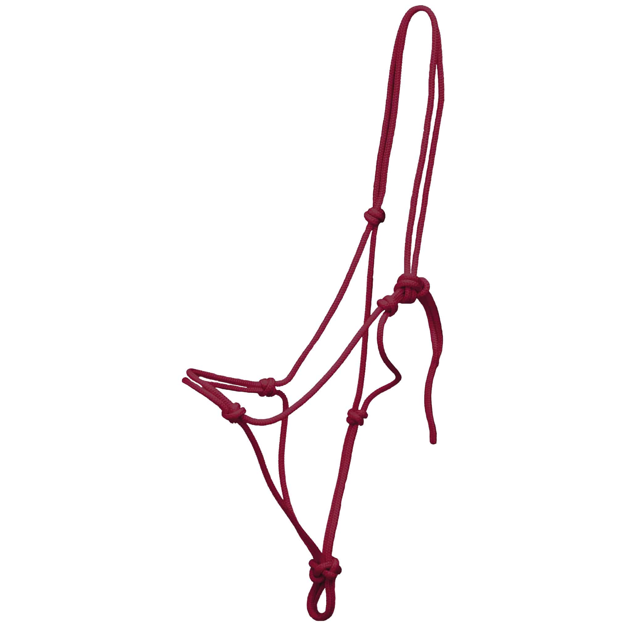 BridleRopeBrockampBordeaux_1024x1024@2x