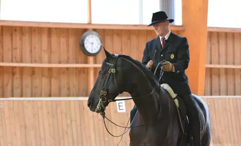 Philippe Karl, escuela de ligereza, equitación a la francesa