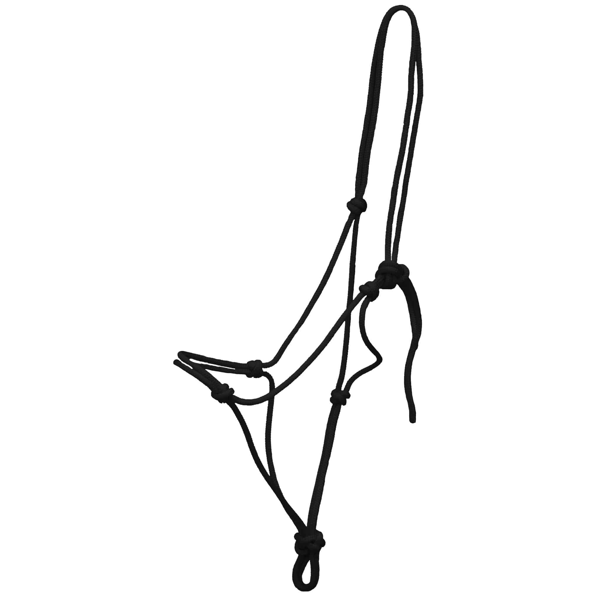 BridleRopeBrockampBlack_1024x1024@2x